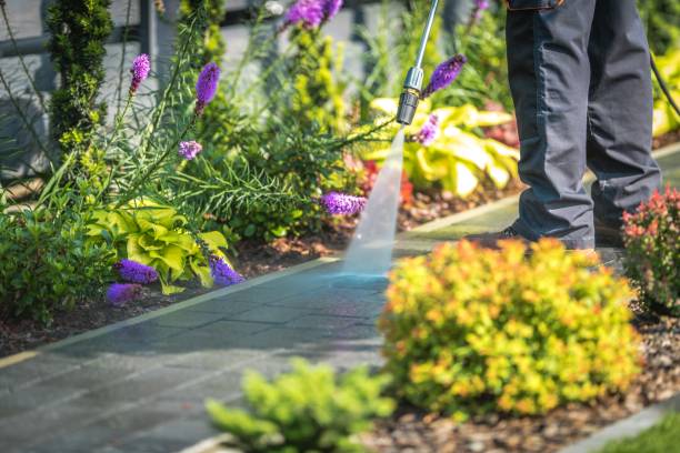 Best Pool Deck Cleaning  in Foster City, CA